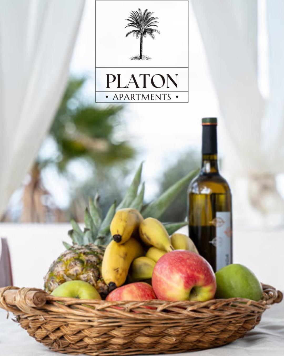 Apartment Platon *